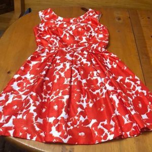 Danny and Nicole dress size 6